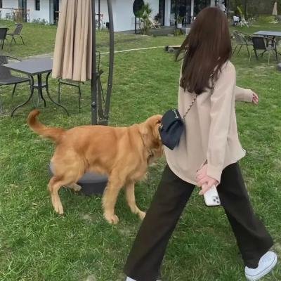 全城通缉